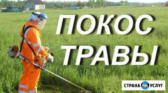 Покос травы, опил деревьев Курск