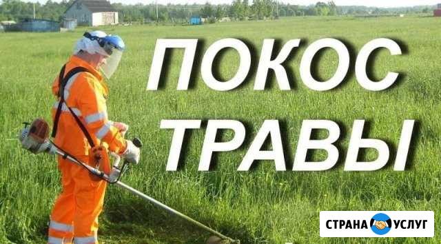 Покос травы, опил деревьев Курск - изображение 1