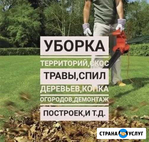 Предложение услуг Владикавказ - изображение 1