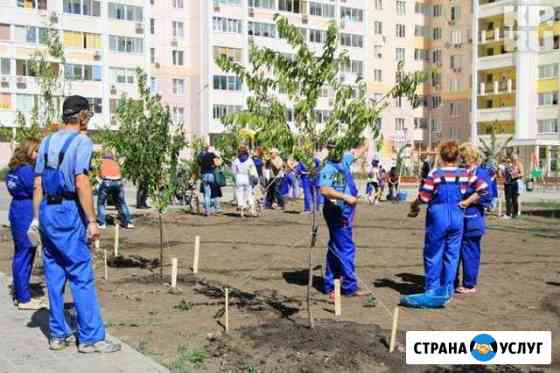 Озеленение в Севастополе, Симферополе, Ялте Севастополь