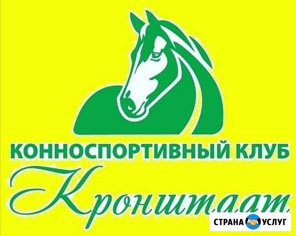 Постой лошадей Кронштадт - изображение 1