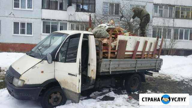 Вывоз мусора. грузчики Луга - изображение 1