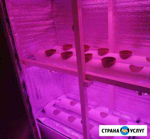 Гидропонника Саратов