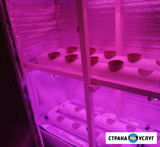 Гидропонника Саратов - изображение 1