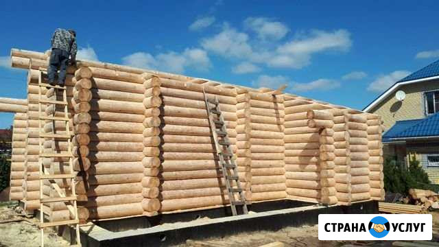 Срубы любые Вологда - изображение 1
