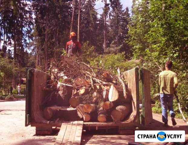 Вывоз мусора Зеленогорск - изображение 1