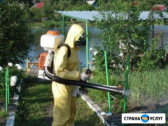 Обработка дачного участка от клещей Красногорск - изображение 1