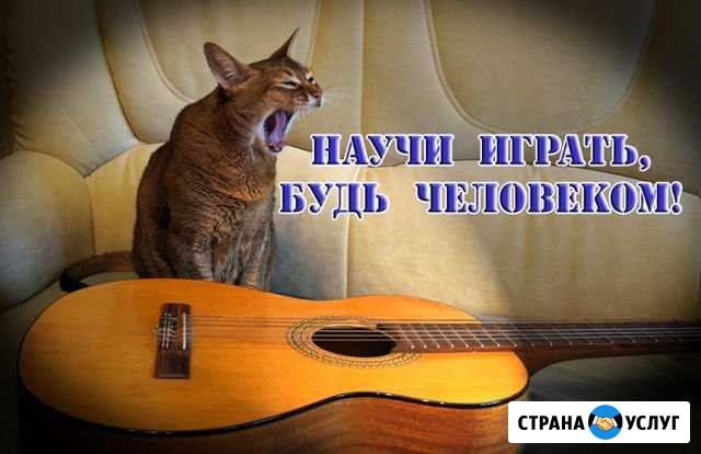 Гитара Онлайн-уроки и уроки в Новороссийске Новороссийск - изображение 1