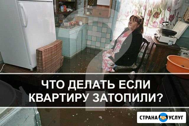 Независимая оценка Волгоград - изображение 1