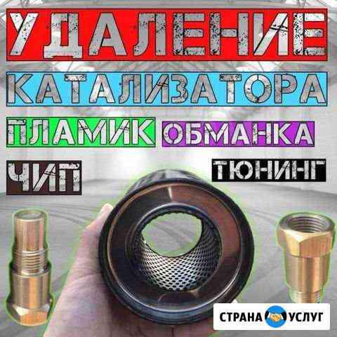 Удаление катализатора + то бесплатно Краснодар