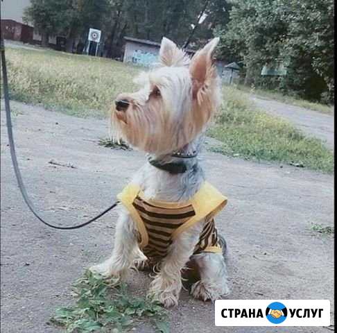 Ищем невесту Липецк - изображение 1