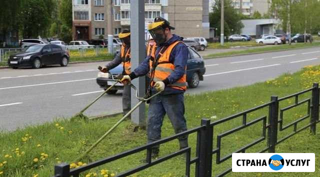 Покос травы Челябинск - изображение 1