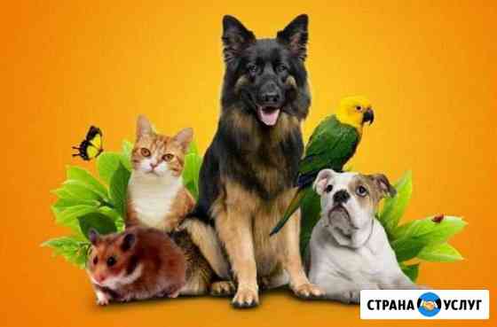 Зоогостиница Стерлитамак