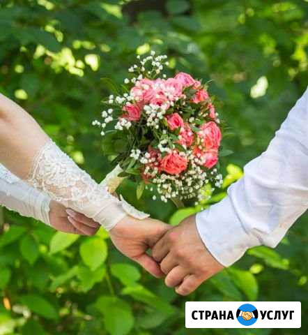 Фотограф на все случаи жизни Елабуга - изображение 1