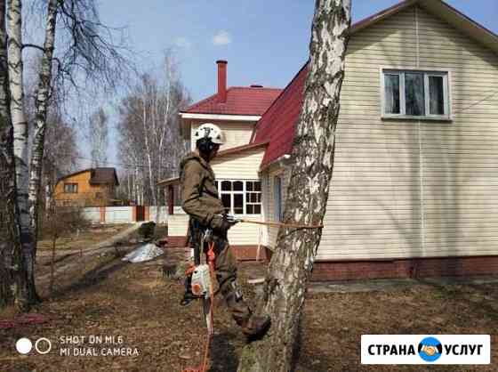 Высотные работы Истра