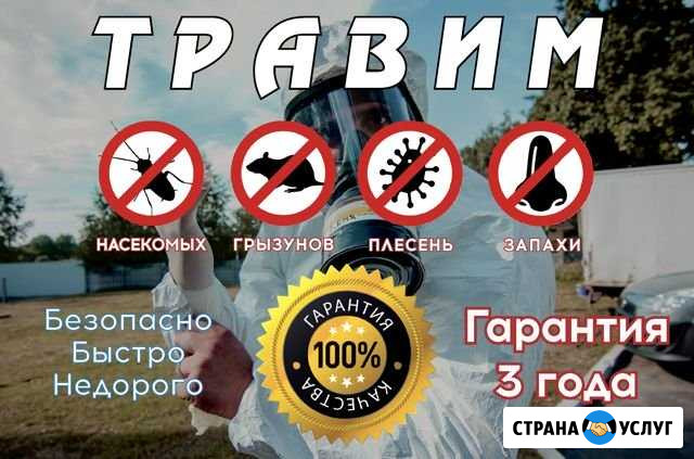 Травим тараканов, клопов, блох. Гарантия Отзывы Новочеркасск - изображение 1