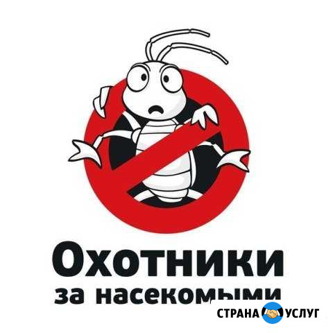 Истребление клопов и тараканов Чебоксары - изображение 1