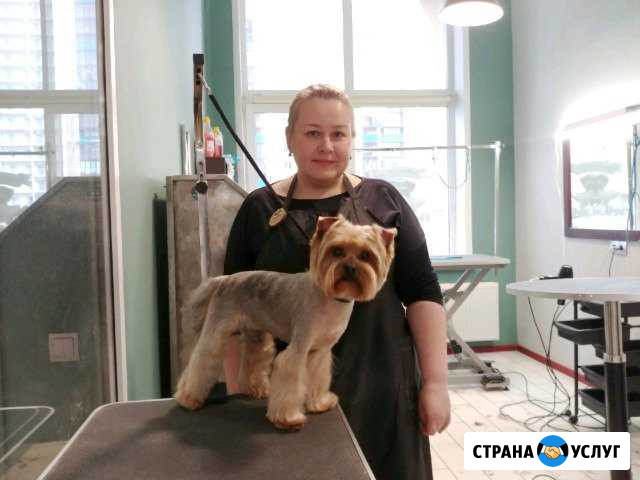 Стрижка собак и кошек в Краснокамске Краснокамск - изображение 1