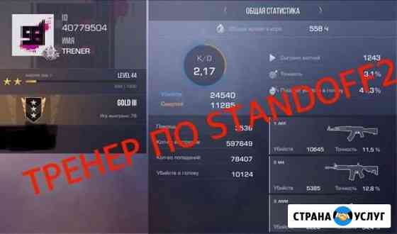 Тренер по Standoff2 Сургут
