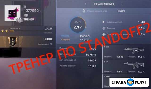 Тренер по Standoff2 Сургут - изображение 1