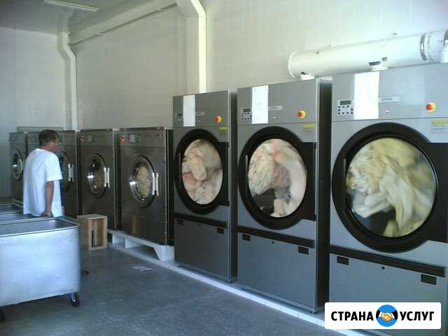 Ремонт Химчисток прачечных Новосибирск - изображение 1