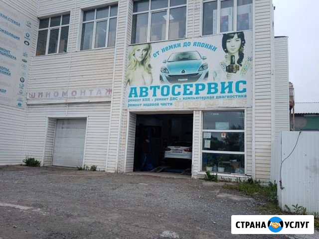 Автоэлектрик-диагност Старый Оскол - изображение 1