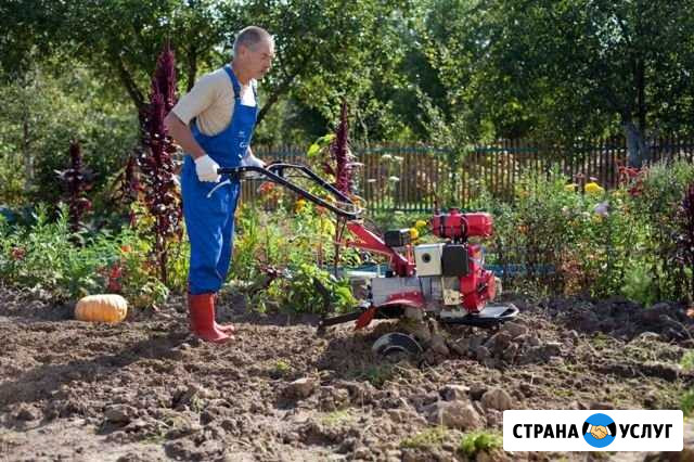 Вспашка земли мотоблоком Ростов-на-Дону - изображение 1
