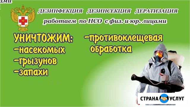Уничтожим тараканов, клещей, клопов, мошек, мышей Искитим - изображение 1