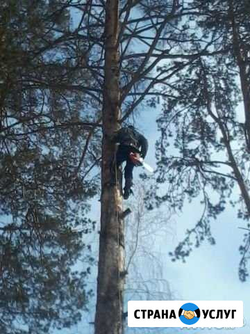 Спилить дерево, спил деревьев, дерево обрезка Челябинск - изображение 1