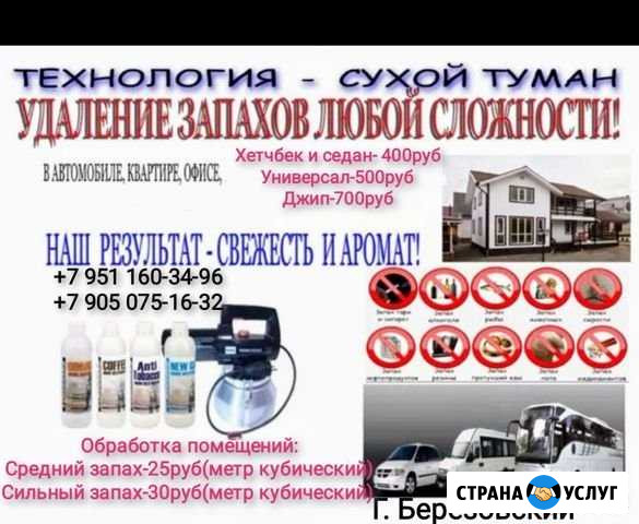Сухой туман Березовский - изображение 1