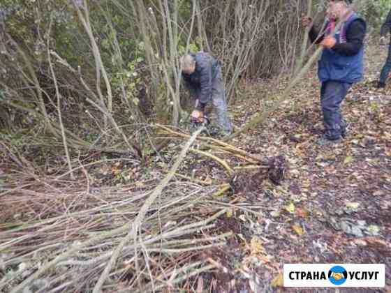 Сад благоустройство Заокский