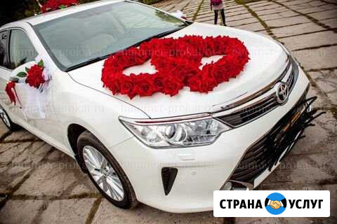 Авто для свадьбы Тойота Камри Саратов - изображение 1
