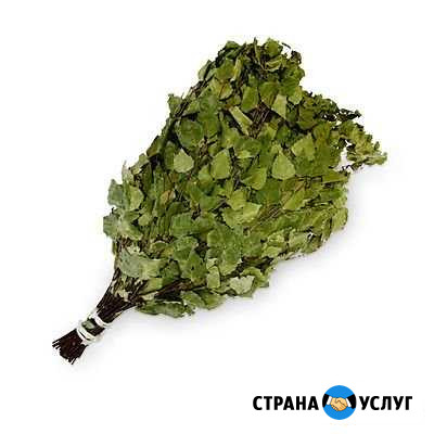Веники для бани Красный Гуляй - изображение 1