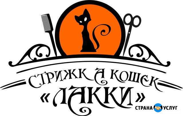 Стрижка кошек Бийск - изображение 1