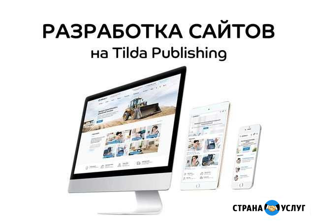 Создание адаптивных сайтов для бизнеса на Tilda Волгоград - изображение 1