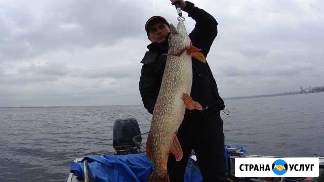 Рыбалка с гидом в Саратовской области Саратов - изображение 1