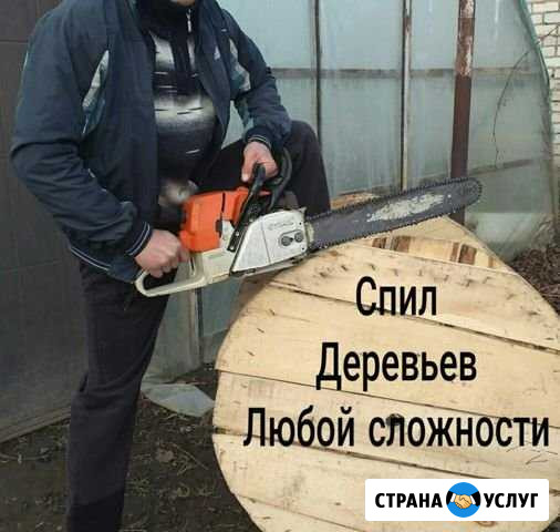 Спил деревьев Баксан - изображение 1