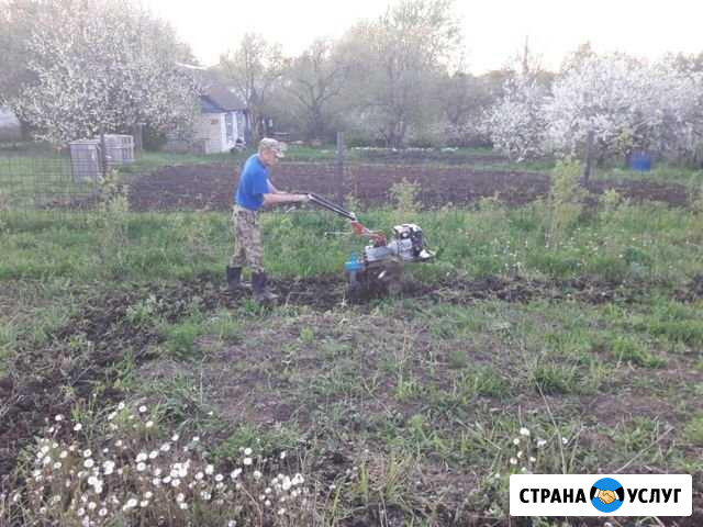 Вспашка земли мотоблоком, скос травы бензокосилкой Новочебоксарск - изображение 1