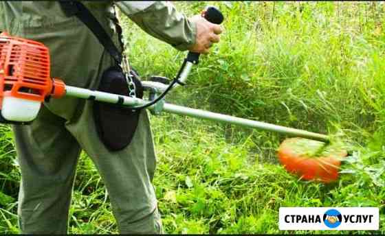 Скошу траву быстро и качественно. Вопросы по телеф Братск