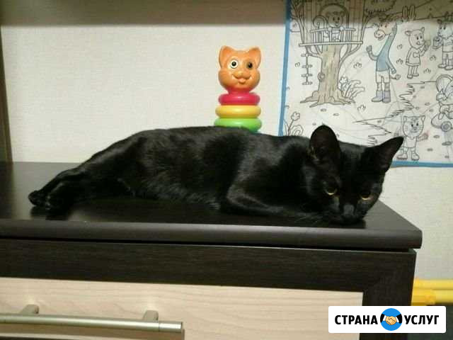 Регистрация Иваново - изображение 1
