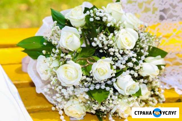 Фотограф Лиски - изображение 1