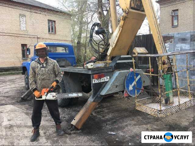 Спил деревьев Воронеж - изображение 1