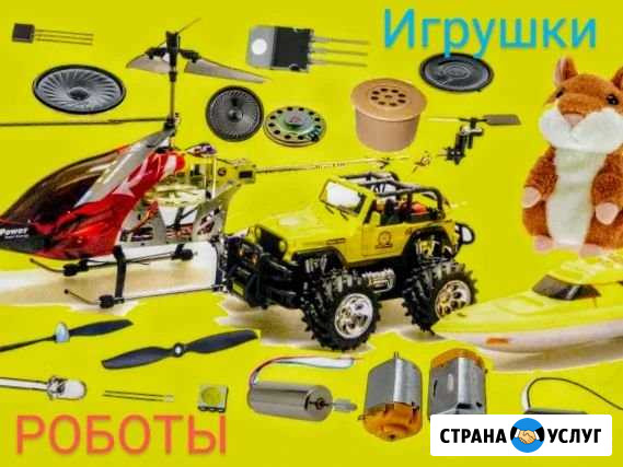 Ремонт технически сложных игрушек Краснобродский - изображение 1