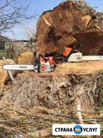 Спиливание и Спил деревьев,расчистка участков Воронеж