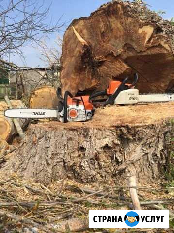 Спиливание и Спил деревьев,расчистка участков Воронеж - изображение 1