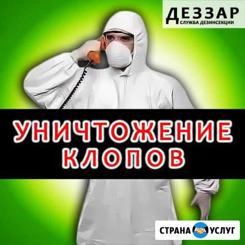 Уничтожение клопов, тараканов, клещей, муравьев Первоуральск - изображение 1
