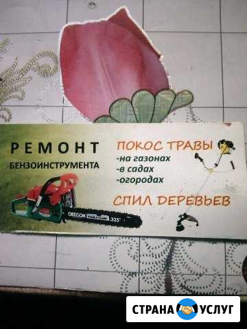 Ремонт бензо инструментов Нальчик - изображение 1