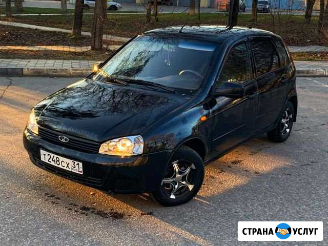 Аренда авто в Белгороде посуточно для личных целей Белгород - изображение 1