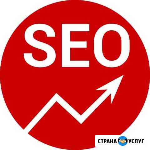 Продвижение сайтов (SEO, Контест, Таргет) Екатеринбург