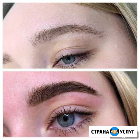 Бровист Энгельс - изображение 1